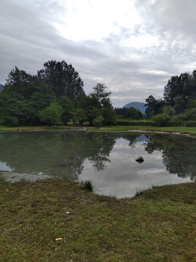 Tra La Stazione E Il Lago Lejlighed Verbania Eksteriør billede