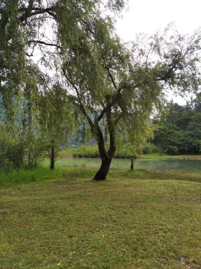 Tra La Stazione E Il Lago Lejlighed Verbania Eksteriør billede
